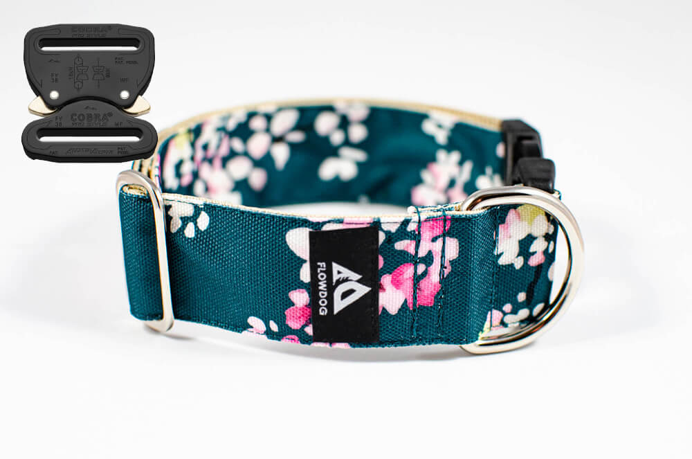 green floral cherry blossom dog collar with austrialpin buckle